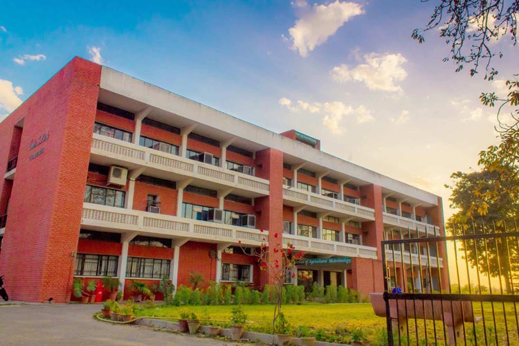 Punjab Agricultural University