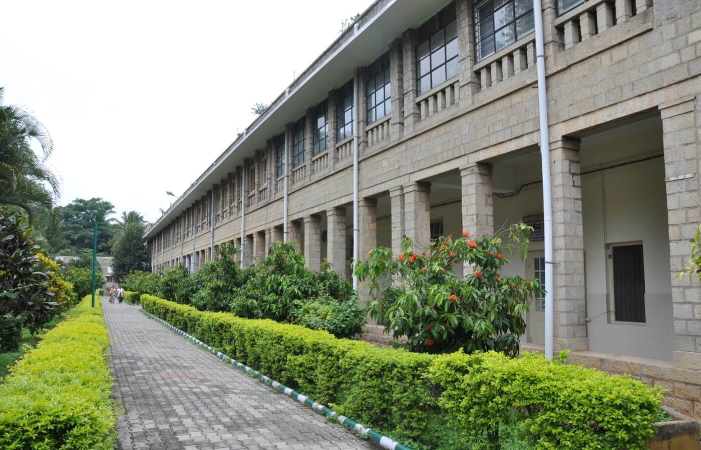National Institute of Mental Health & Neuro Sciences