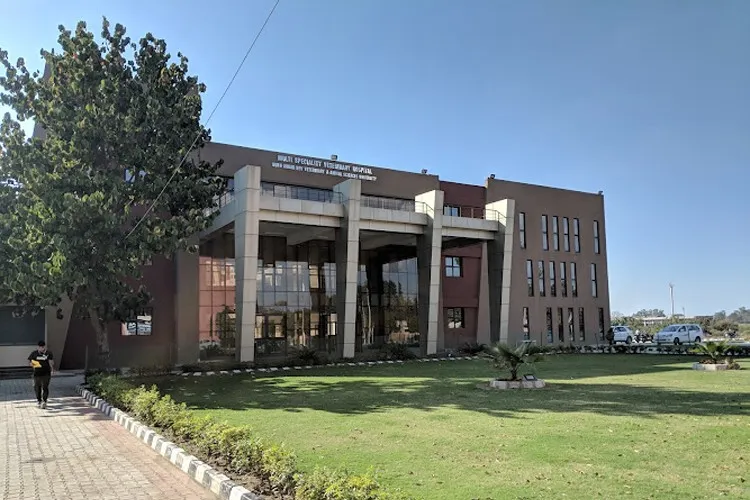 Guru Angad Dev Veterinary and Animal Sciences University campus